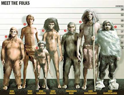 sapiens